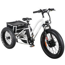 Fat Tire Three Wheels Pedal Assisted E Bike Cargo Electric Tricycle